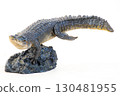 Nile crocodile animal on isolated background 130481955