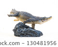 Nile crocodile animal on isolated background 130481956