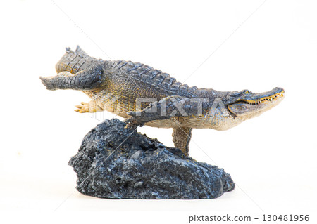 Nile crocodile animal on isolated background Nile crocodile animal on isolated background 130481956