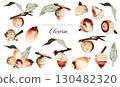 Watercolor acorn illustration set 130482320