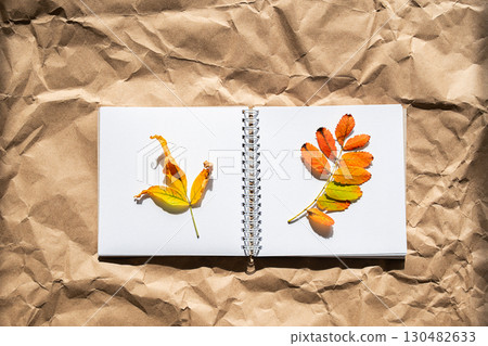 Open notebook with two colorful autumn leaves on white page. Open notebook with two colorful autumn leaves on white page. 130482633
