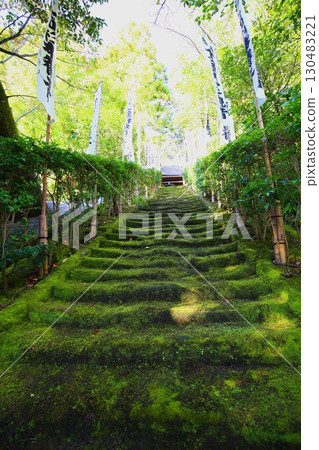 Moss-covered stone steps leading to Sugimoto-dera Temple, the oldest temple in Kamakura 130483221