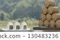 Rice ball and rice ball 130483236