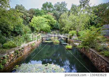 Small wooden bridge over a body of water 130483629