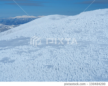 冬季吾妻山西吾妻山的冰霜森林 冬季吾妻山西吾妻山的冰霜森林 130484200