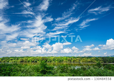 Summer scenery of the Yodo River, Hirakata City 130484558