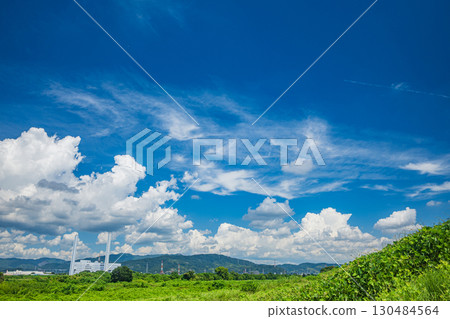 枚方市淀川的夏日風景 枚方市淀川的夏日風景 130484564