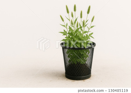 A houseplant in an office trash can. Space for text. 130485119