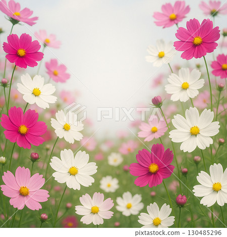 Autumn cherry blossom flower field frame (copy space) 130485296