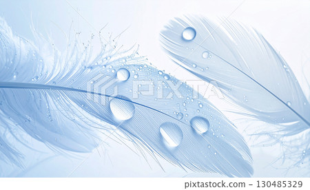 Feather and water droplet material 130485329