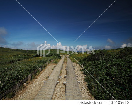 The road from Tarodaira to Yakushidaira 130485610