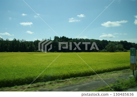與稻田的風景 130485636