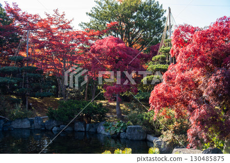Autumn in Hokkaido's Japanese Gardens - Autumn Leaves 130485875