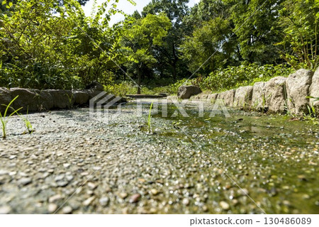 Puddle and moss on the ground 130486089