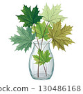 glass vase filled with vibrant autumn maple leaves White Background 130486168