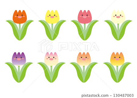 一組色彩鮮豔的可愛鬱金香 130487003