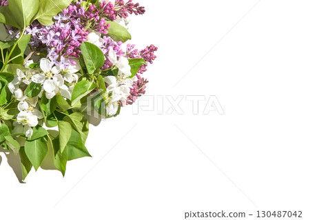 Spring floral arrangement with lilac and apple blossoms on white background 130487042