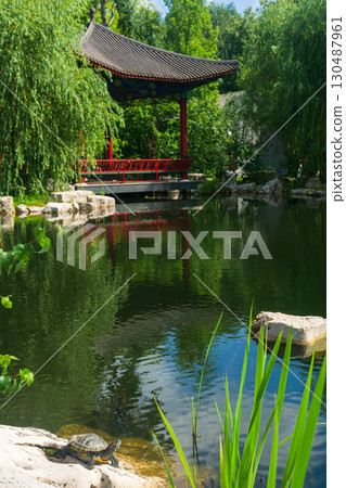 turtle resting on the bank of a pond in an oriental garden, gazebo in the background turtle resting on the bank of a pond in an oriental garden, gazebo in the background 130487961