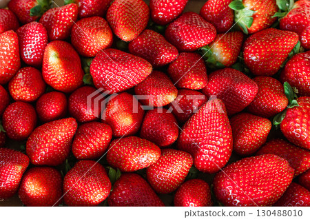 Close-up of fresh organic strawberries in wooden box 130488010