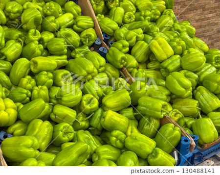 Pile of fresh green peppers displayed on outdoor market stall. Agriculture, farming, and seasonal vegetable harvest with natural healthy nutrition. Pile of fresh green peppers displayed on outdoor market stall. Agriculture, farming, and seasonal vegetable harvest with natural healthy nutrition. 130488141