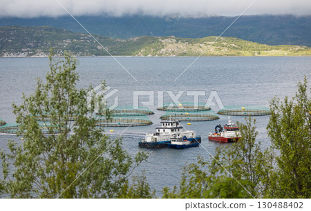 Farm salmon fishing in Norway Farm salmon fishing in Norway 130488402