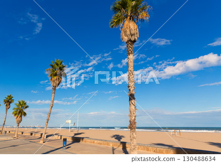 Valencia Malvarrosa Las Arenas beach palm trees in Patacona 130488634