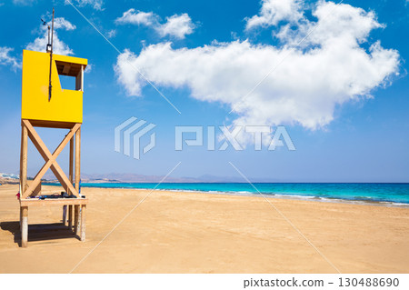 Jandia Sotavento beach Fuerteventura Canary 130488690