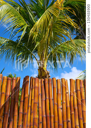 Holbox island cane fence texture in Mexico Holbox island cane fence texture in Mexico 130488900