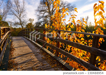 Sunset autumn wood bridge Parque de Turia 130488954