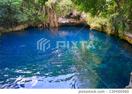 Cenote sinkhole in rainforest mayan jungle Cenote sinkhole in rainforest mayan jungle 130488980