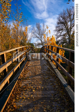 Autumn sunset bike on bridge Parque de Turia Autumn sunset bike on bridge Parque de Turia 130488988