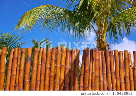 Holbox island cane fence texture in Mexico 130488991