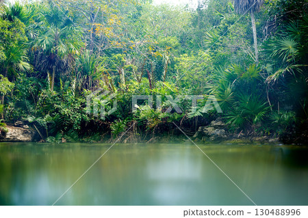 Cenote in Riviera Maya of Mayan Mexico Cenote in Riviera Maya of Mayan Mexico 130488996
