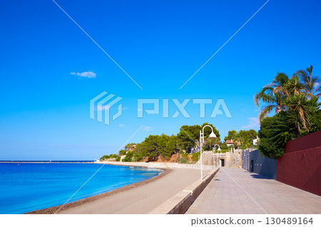 Denia palm trees in Marineta Casiana beach Denia palm trees in Marineta Casiana beach 130489164