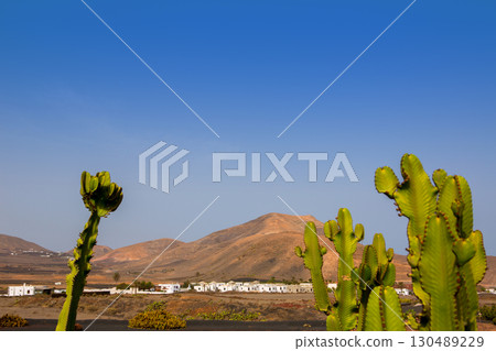 Lanzarote Yaiza with cactus and mountains 130489229