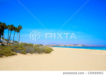 Costa Calma beach of Jandia Fuerteventura 130489401