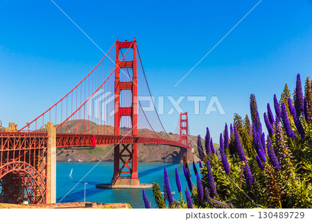 Golden Gate Bridge San Francisco purple flowers California 130489729