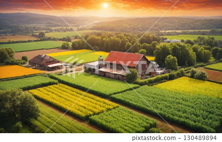 夕陽照亮的田野 130489894