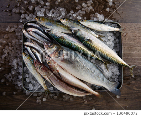 Fresh fish hake seabass sardine mackerel anchovies 130490072