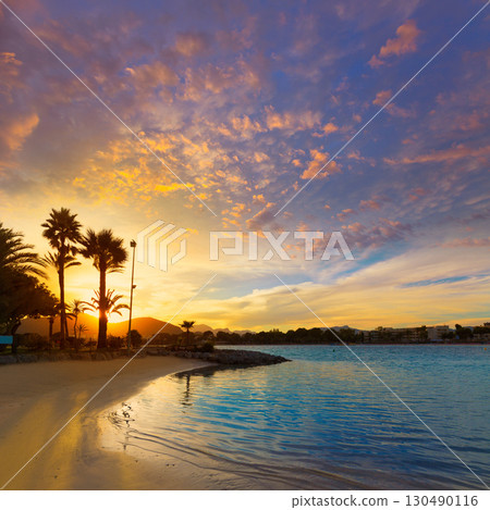Alcudia Majorca at sunset on the beach Mallorca 130490116