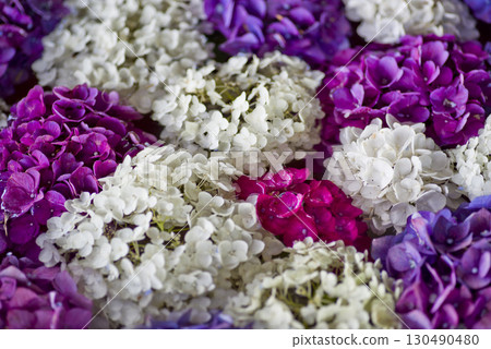 Hydrangea flowers are floating on the surface of the water. 130490480
