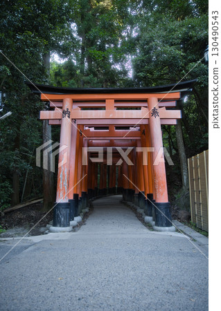 稻荷神社:樹叢中的千鳥居 1 稻荷神社:樹叢中的千鳥居 1 130490543