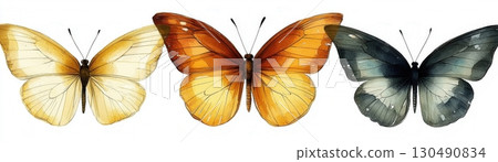 ThreeColorfulButterfliesonaWhiteBackgroundShowcasingNaturesBeautyandDiversity 130490834
