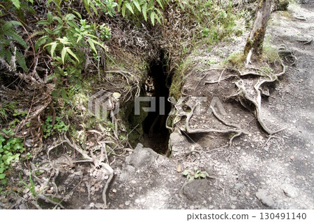 基拉韋厄火山健行步道上的一個洞 130491140
