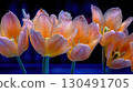 beautiful lotus flower in the dark 130491705