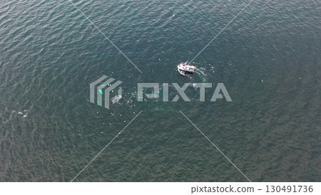 Two Humpback Whales, Megaptera novaeangliae, travelling next to boat in Donegal Bay, Ireland 130491736
