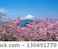 透過大井夢之鄉盛開的櫻花，可以看見富士山 130491770