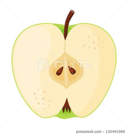 Green ripe half apple, fresh garden fruit. Hand drawn food clipart. Flat style Green ripe half apple, fresh garden fruit. Hand drawn food clipart. Flat style 130491980