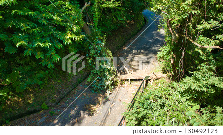 A fallen tree blocking a mountain road in Asahi Town, Toyama Prefecture A fallen tree blocking a mountain road in Asahi Town, Toyama Prefecture 130492123