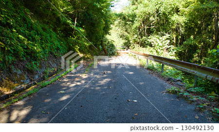 富山縣朝日町一棵倒下的大樹堵塞了山路 富山縣朝日町一棵倒下的大樹堵塞了山路 130492130